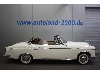 Mercedes-Benz 220 SE W128 Cabrio ***Sehr Selten***