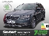 Skoda Octavia Combi III 2,0 TDI Scout* 4X4* SHZ* NAVI*