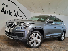 Skoda Kodiaq Style LED Teilleder AHK APP Kamera VIC