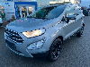 Ford EcoSport 1.0 Titanium*WinterP*To.Wi.Wa*PDC*CAM*
