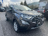 Ford EcoSport 1,0 EcoBoost 92kW Titanium+Winterreifen