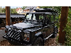 Land Rover Defender 110 E Station Wagon Edition LXV