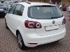 VW Golf Plus 4-t�rer 1.6 TDI CR DPF 66 KW Trendline (5-Gg.)